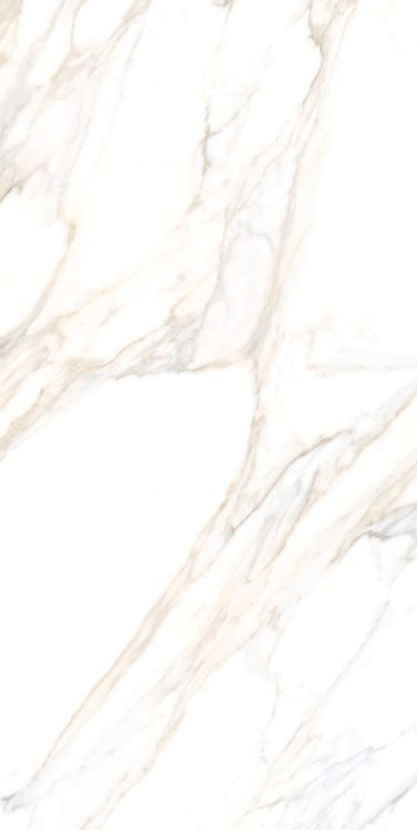 Aurum Calacatta Polished 24 x 48